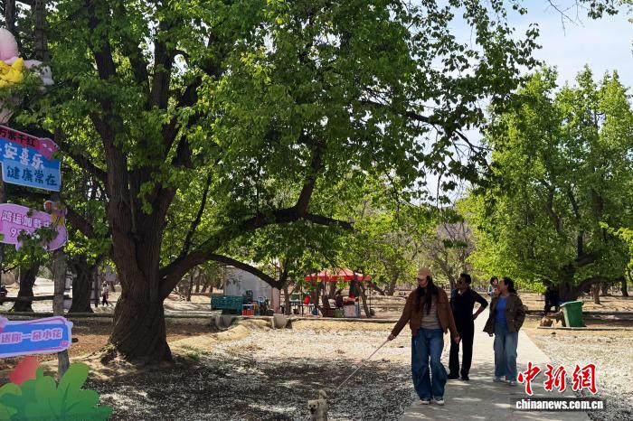 6cd5031ccaf5fa5b9bbb908774fbc7bb_aab32de0-dc06-404a-b5bb-fc1d0b4e06b8_zsite