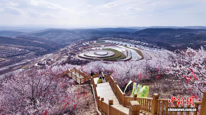 56d8e66940c64289a7412c200fc651cb_f138c03f-f301-4593-bba4-0cea543d22b5_zsite