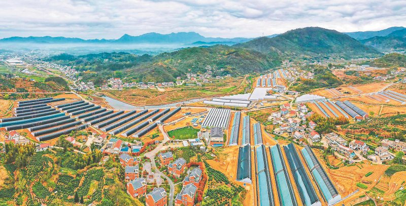 ba5639c7406b1b1c75265deeda374420_W020260414239321464898