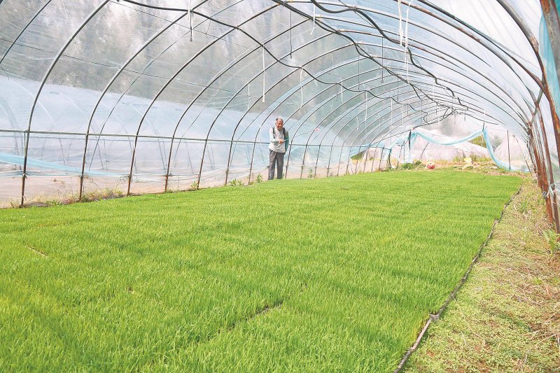 8ad80c22c6c0b8c4f92391625409927f_W020260415238266440520