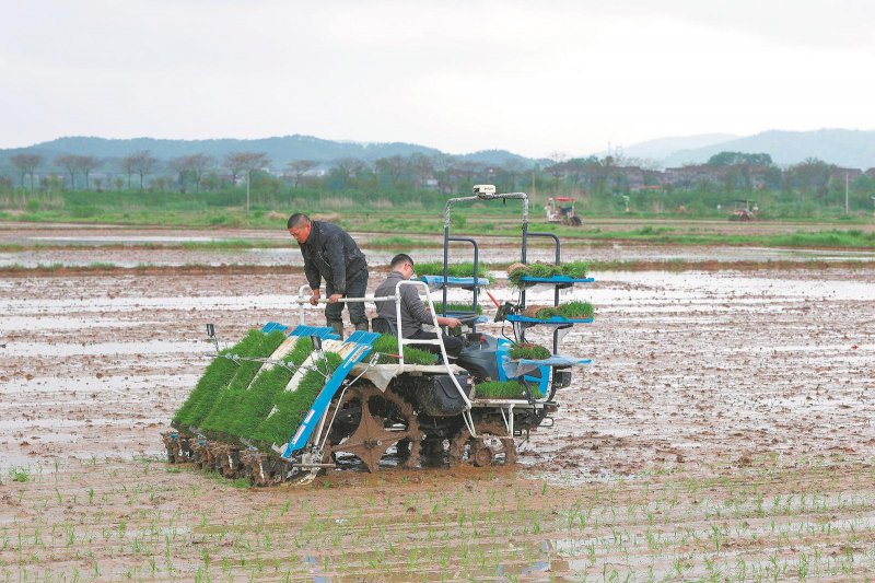 4c95cac9ce456b712bd03d34c81ef17b_W020260415238268090455