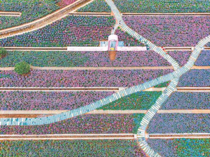 27de9354439b32dd339b9f9b019c80c6_W020260415238883916674