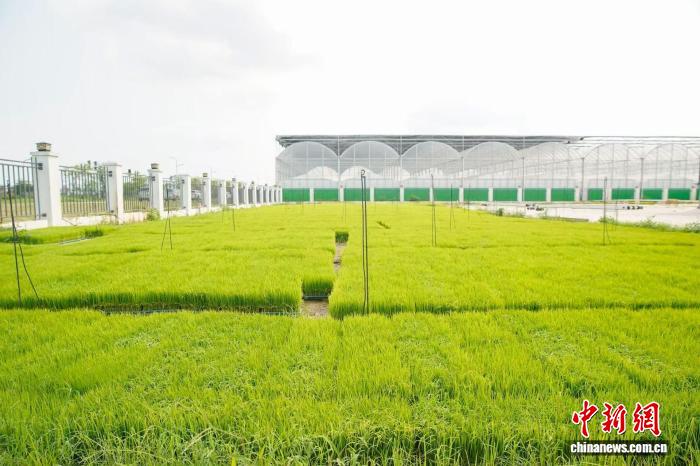 7d7536b459d5436ec023565a1f59c6e5_d3ca240c-11c4-4a8b-a694-25bb2bd5b741_zsite