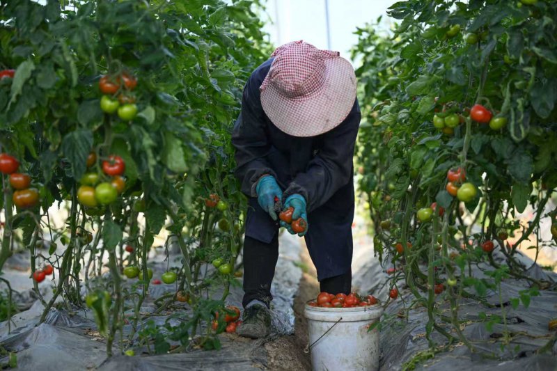 9b81c853fdc9c592d4f562cb09d8b220_