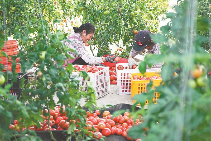 10cddf65e54ccad28352a52c40a3efae_W020260420233840238941