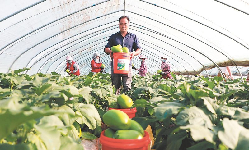 693d8acd733feec7db51fa393906e888_W020260420233839272156