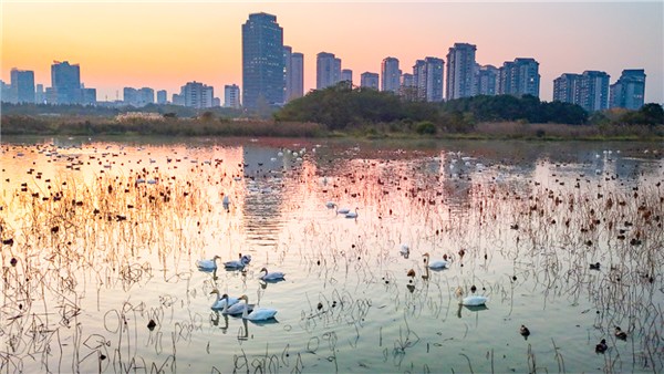 5115b18dc7650d43061b52fbf9c724cb_20260413d24c37dc297741b69948119f5dbde4c7_l