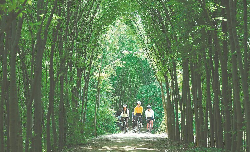 f480d649f1abb5e7b8ed96ce99fc0769_W020260428229717576951