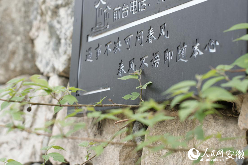 小说元素在朱勇的民宿里随处可见。人民网记者 王锐摄