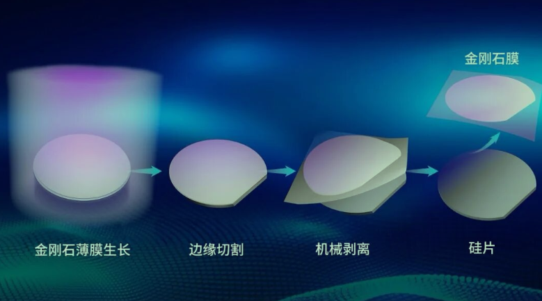 菲尔兹奖获得者埃菲•杰曼诺夫:中国的科创沃土让基础研究的根扎得深扎得稳