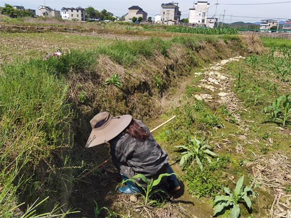 歙县王村镇：织密血防安全网