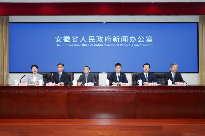 支出达115亿元！安徽多举措护航“助残路”