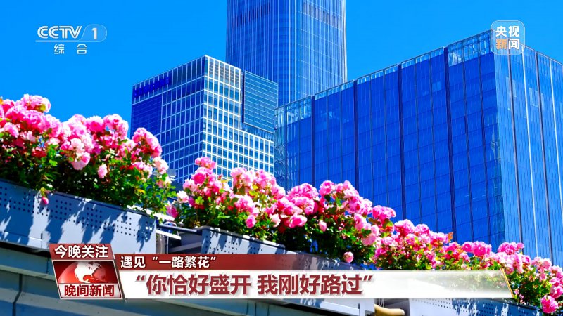 视频丨遇见“一路繁花” 多地赏花经济活力旺