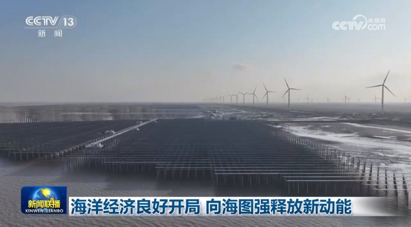 海洋经济良好开局 向海图强释放新动能