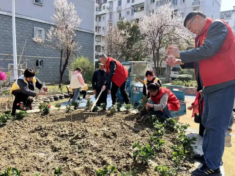 黄山黎阳镇：以小切口破解治理难题
