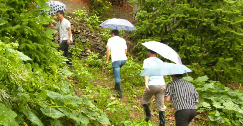 风雨中的坚守
