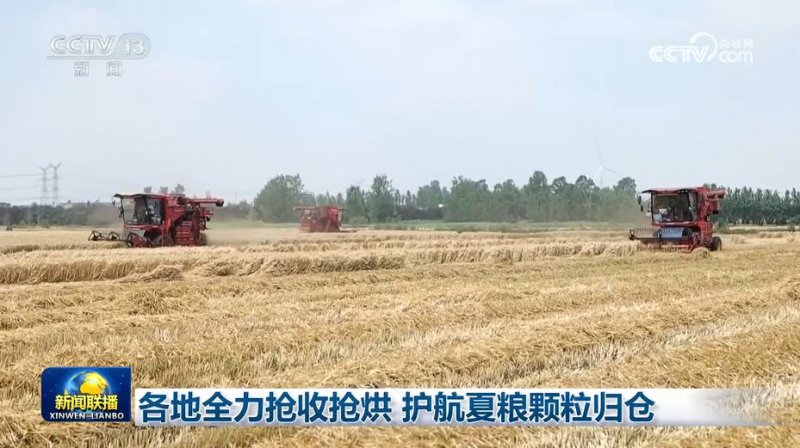 各地全力抢收抢烘 护航夏粮颗粒归仓
