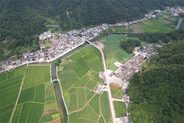 黟县：国家乡村振兴示范县建设成效显著