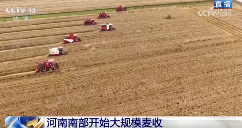 从“三夏”麦收地图看全国大规模小麦机收“时刻表” 多举措减损助丰收