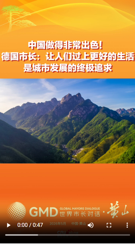 中国做得非常出色！德国市长：让人们过上更好的生活是城市发展的终极追求