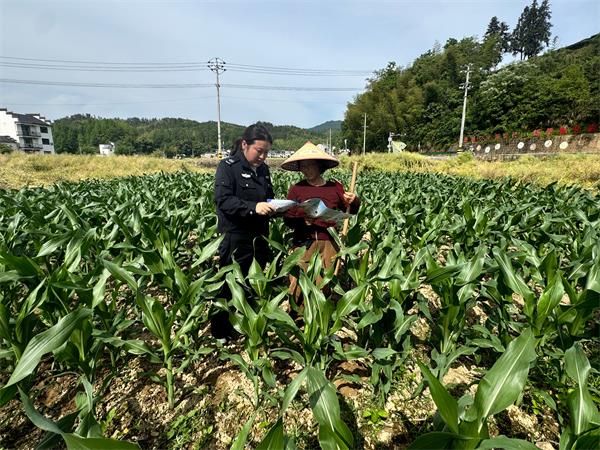 歙县王村镇：反邪反诈宣传深入田间地头