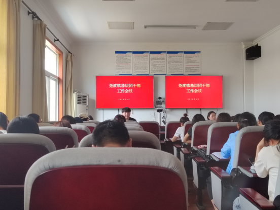 东至：强基固本增活力 青春建功助振兴