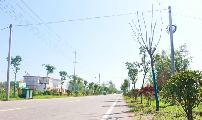 长丰左店镇：深耕精细化治理 擦亮和美乡村底色