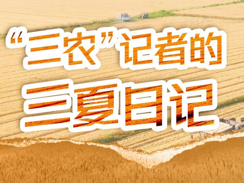 这片稻田不普通 藏着增收密码