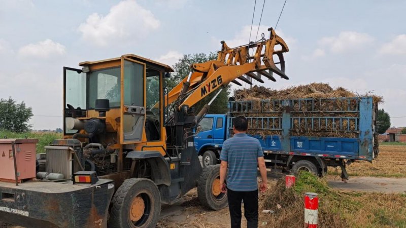 砀山曹庄镇：干群同心齐发力   秸秆清运净田园
