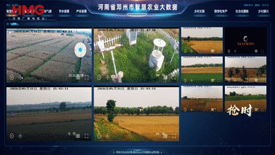 卫星天上扫 AI地上算 麦收抢天时丨归仓