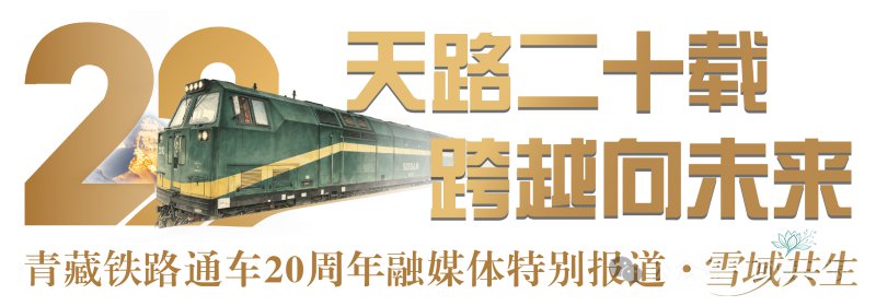 从工程为先到生态为本——8.8公里退让，大国工程写给高原生灵的温柔情书