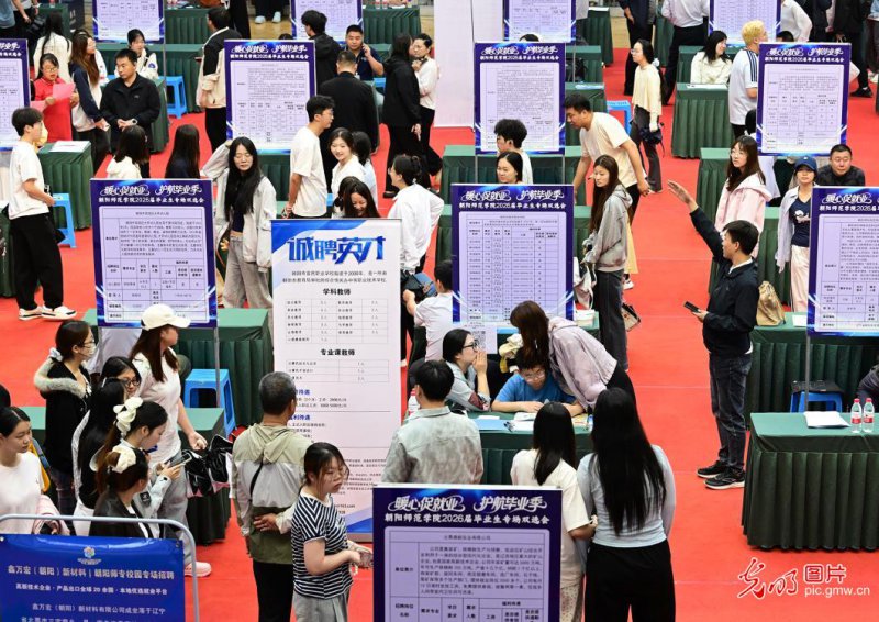 【职引未来】“百日冲刺”正当时 多方聚力精准服务促就业