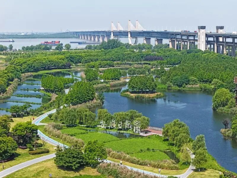 https://mc-public-hyyp.ahnews.com.cn/17316370842885.jpeg