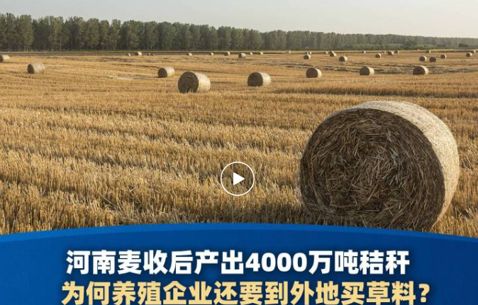 麦收之后，河南的秸秆哪去了