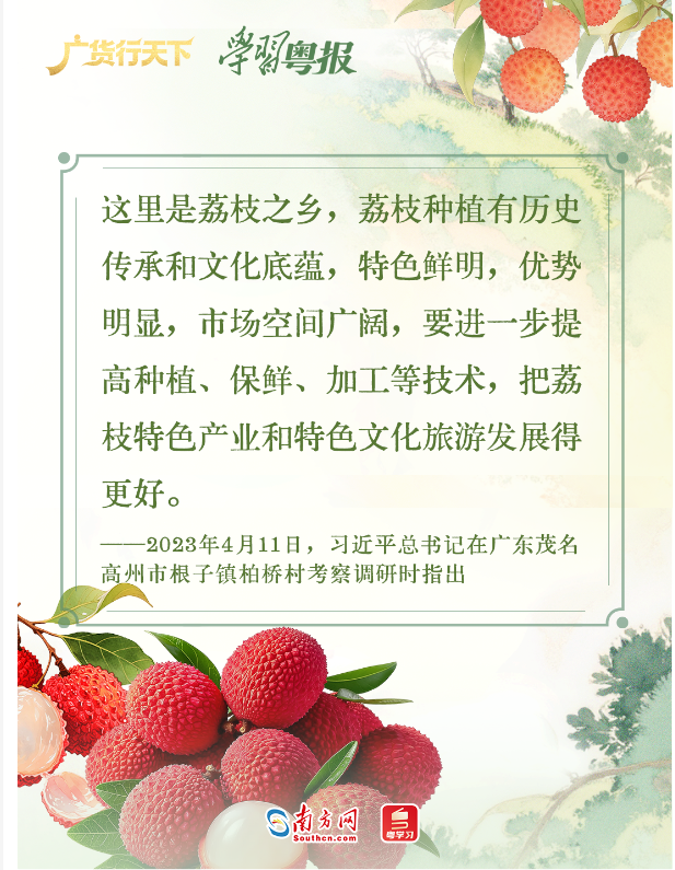 213.6亿元！减产不减收，广东荔枝销售何以逆势增长28%？丨学习粤报