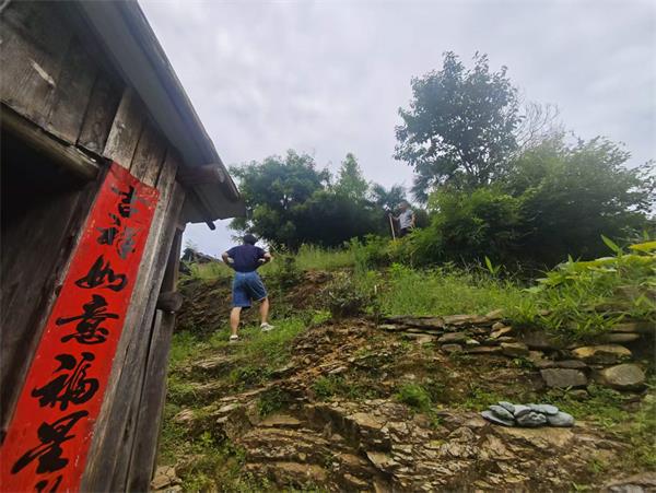 祁门祁红乡筑牢台风“巴威”防御安全屏障