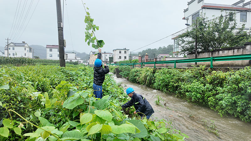 7月12日,国网黄山供电公司组织人员对休宁县东临溪镇沿河地区的杆塔进行异物清除和拉线紧固。方建忠摄