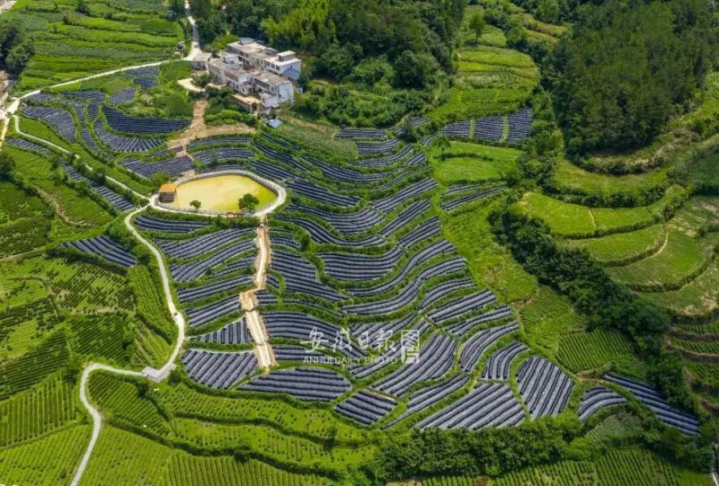 https://mc-public-hyyp.ahnews.com.cn/17432545673298.jpeg https://mc-public-hyyp.ahnews.com.cn/17432545673298.jpeg