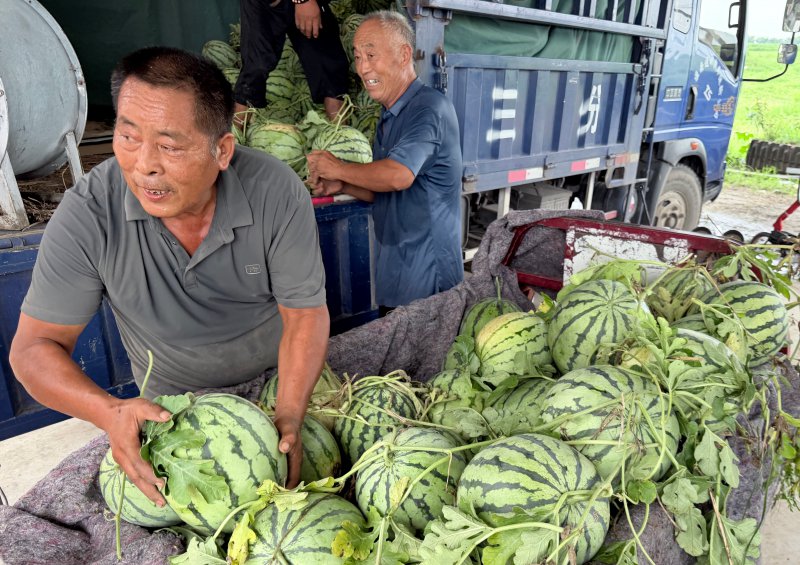 寿县双桥镇：乡贤在外 情系桑梓