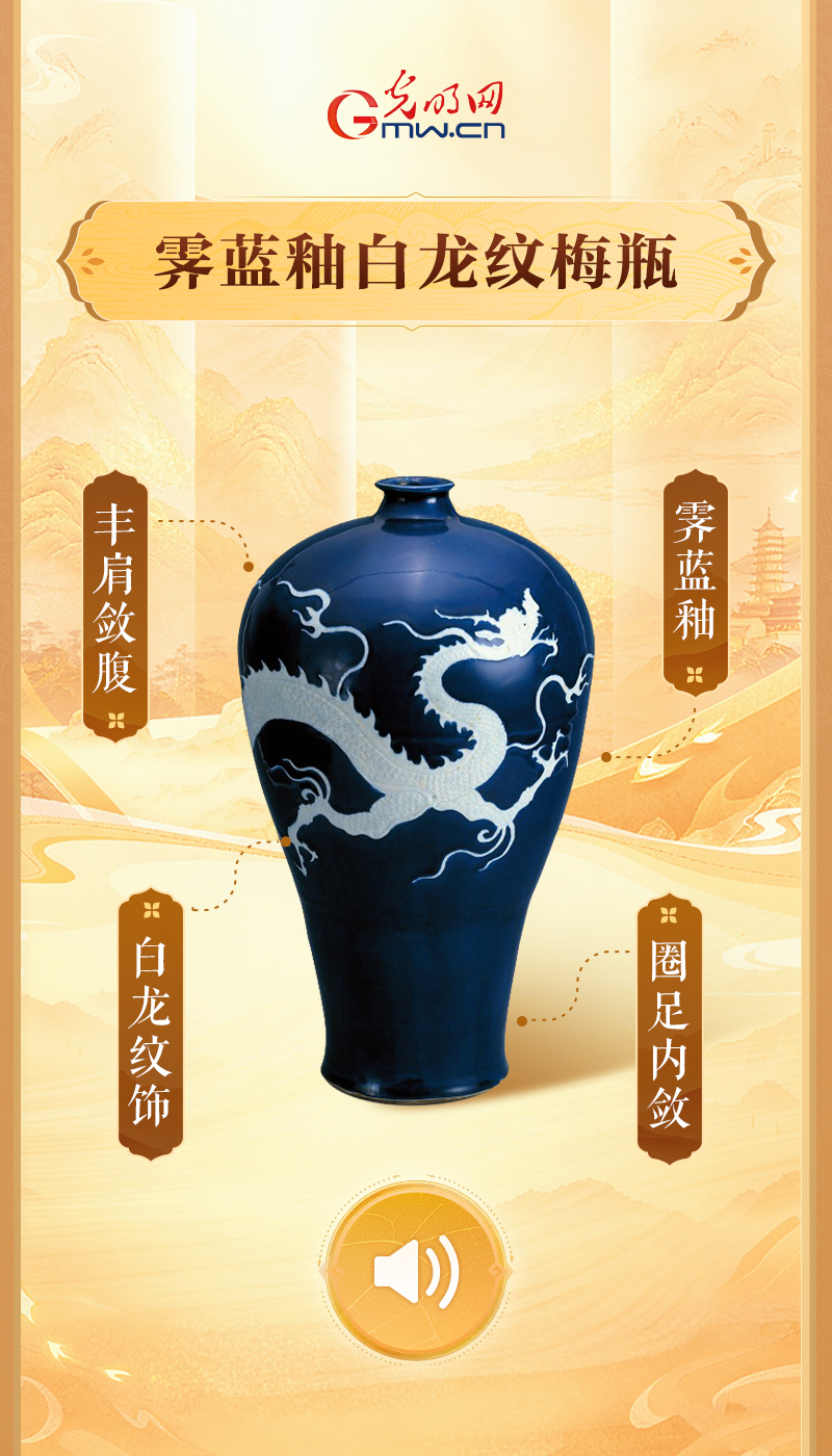 霁蓝釉白龙纹梅瓶