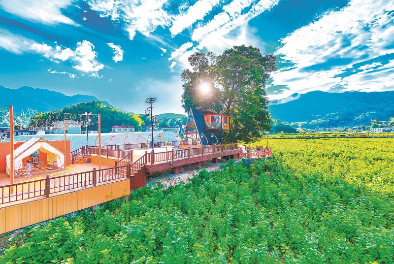农旅融合 多彩画卷