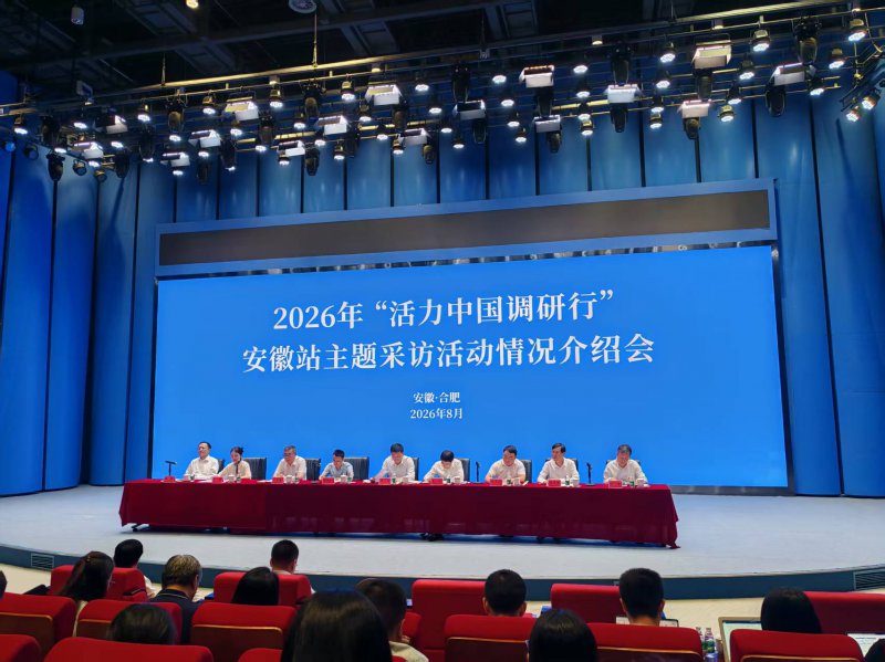 活力中国调研行｜让“头雁”飞得更高，把“链条”拧得更紧