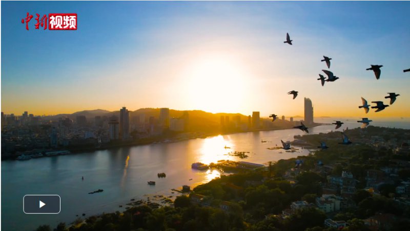 时政微视频丨习近平与世界遗产：鼓浪琴韵