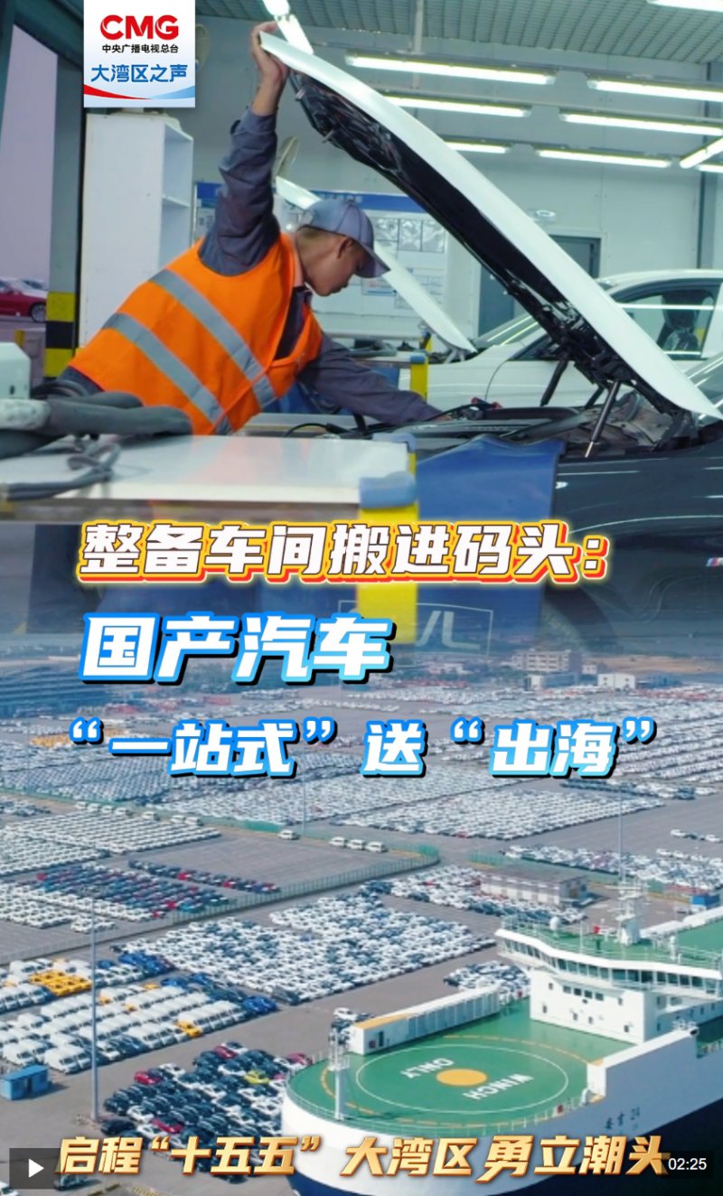 勇立潮头大湾区丨“一站式”送“出海”，国产汽车出口跑出“加速度”