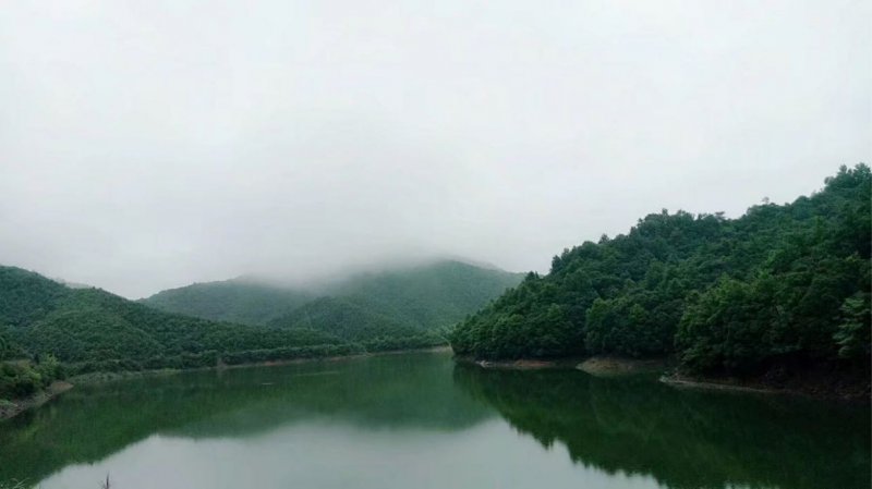 东至县青山乡落实“河长制”,勾勒“水清岸绿”生态图 东至县青山乡落实“河长制”,勾勒“水清岸绿”生态图